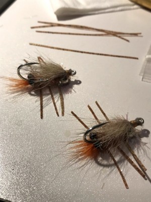 Mini Coyote Crab