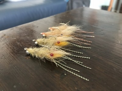My starting team of Spawning shrimps for Cocos (only 1 came home)