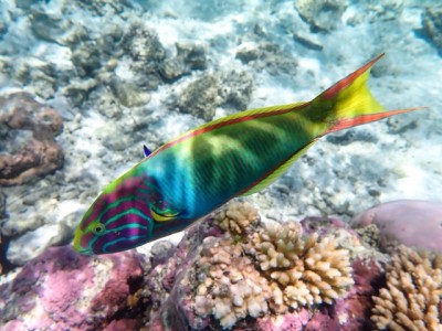 IMG_4026.jpg