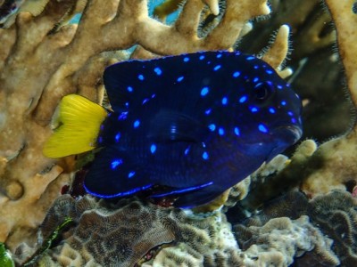 IMG_4028.jpg
