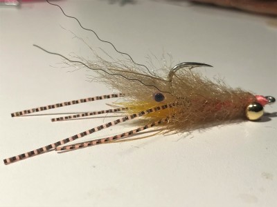 The Tan Spawning Shrimp fly