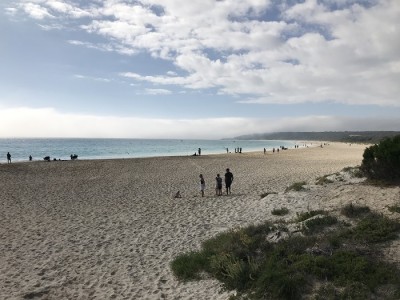 A beautiful Monday morning at Bunkers, ready for a walk to the rocks.