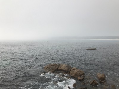 A Sunday morning fog from the point at Bunkers
