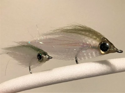 Small and large flies front profile pic