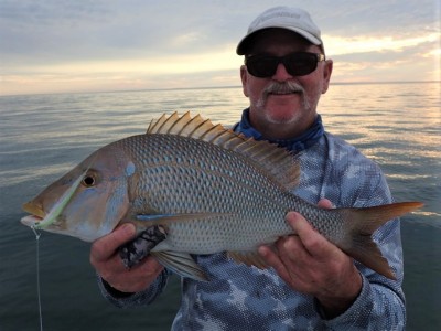 A nice 51cm Spangled Emperor for Arnie