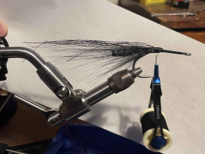 2. Bucktail top & bottom + flash.jpg