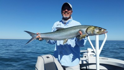 Giant Herring 1.14m small.jpeg (197.13 KiB) Viewed 23813 times GH114