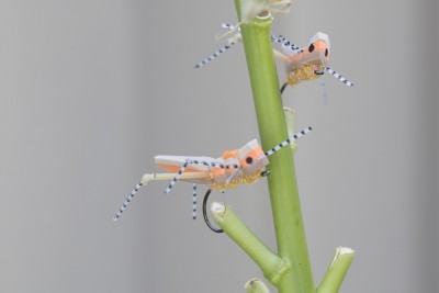 hop-5236.JPG