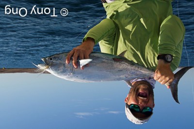 Tuna_SB.jpg