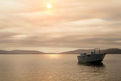 wal2012-4462s.jpg