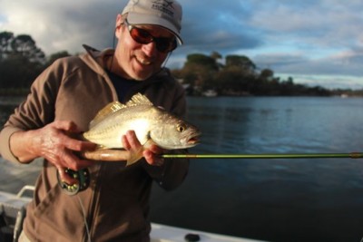 Mulloway Murray River.jpg