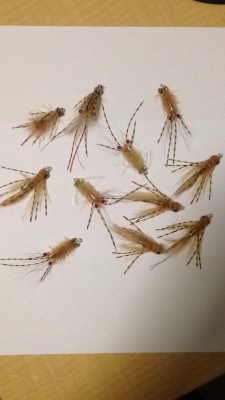 11 x Chris Beech Shrimp Patterns